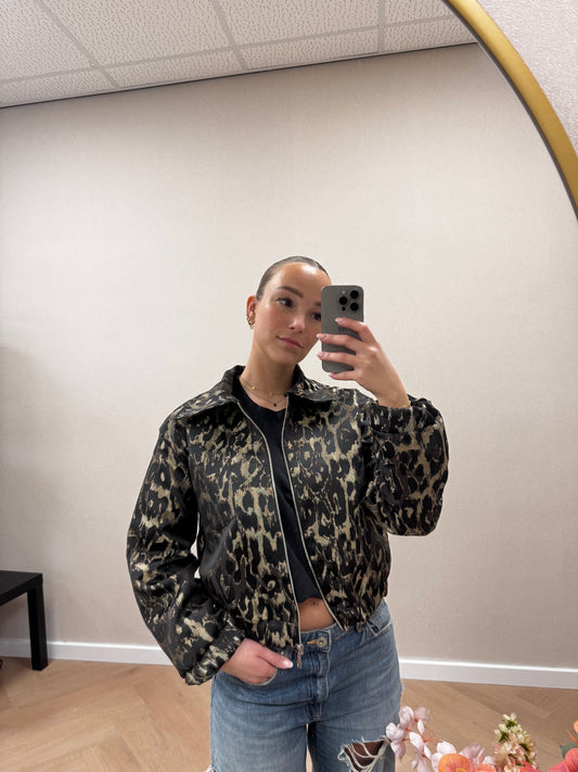 Bomber leopard
