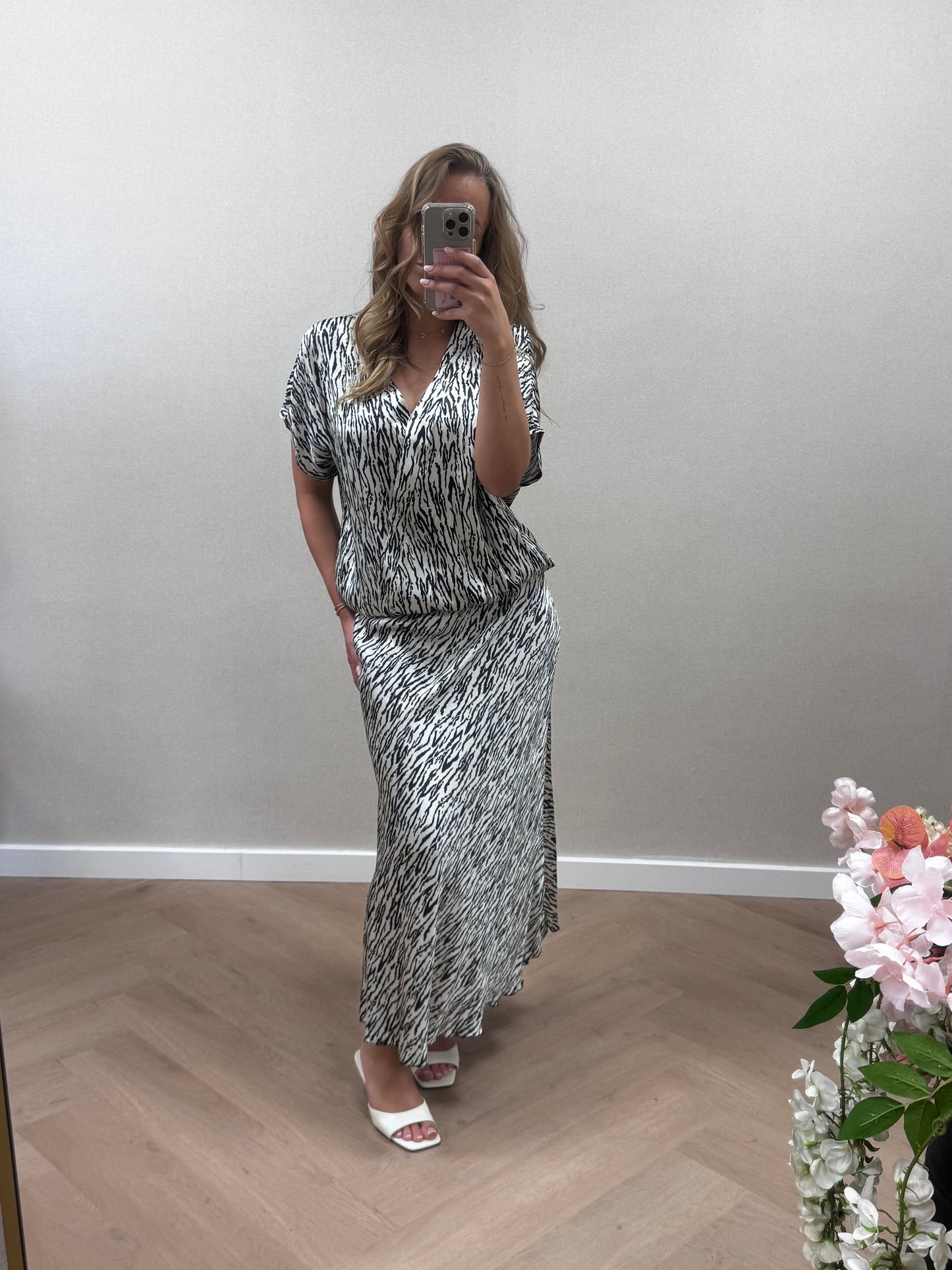 Zebra set