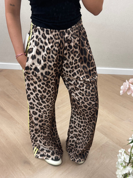 Panter jogger