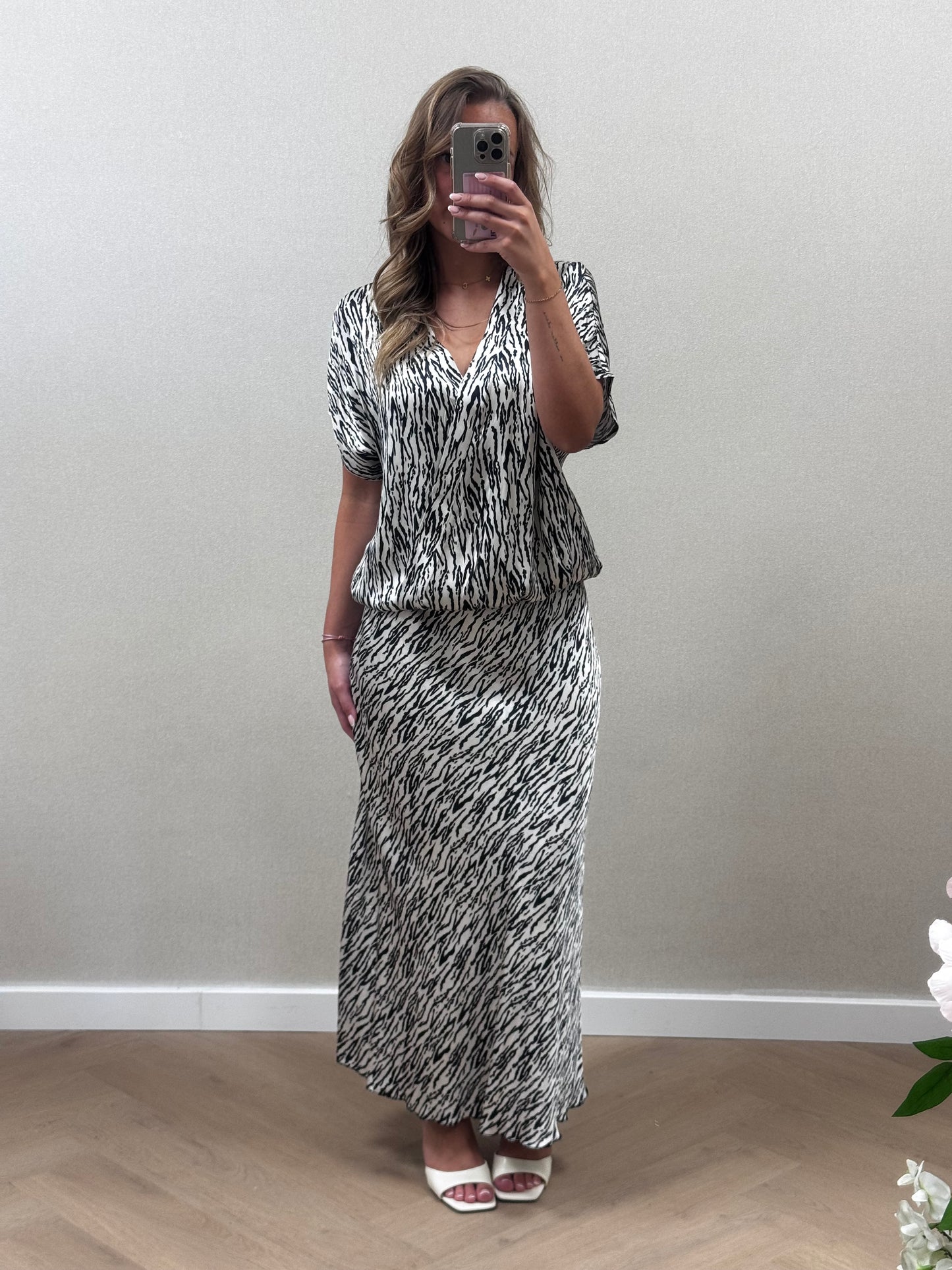 Zebra set